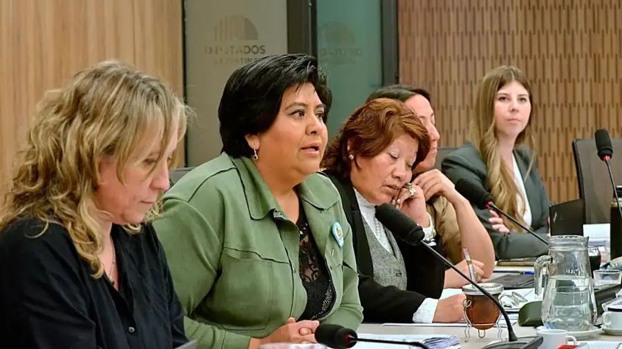 Audiencia definición Defensor del niño 03092025