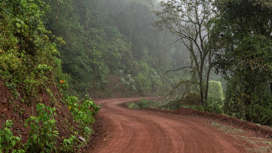 Parque Nacional Calilegua 02092025
