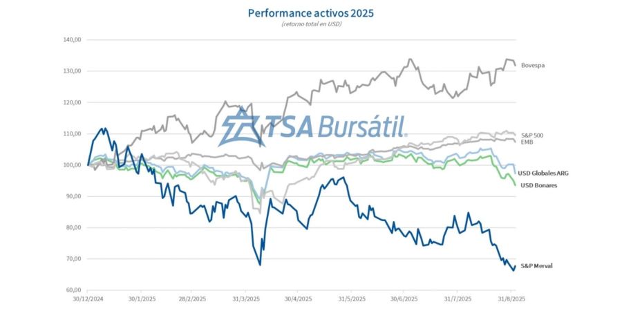 Como llegan los activos argentinos a las elecciones legislativas 2025. 