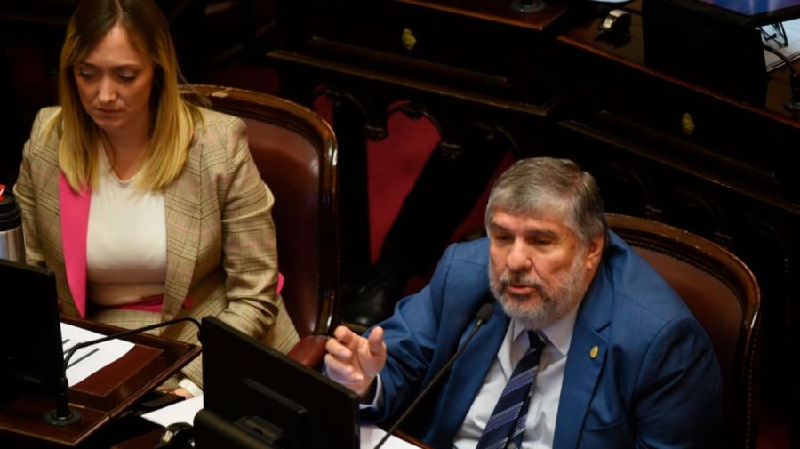 Discapacidad Senado 04092025