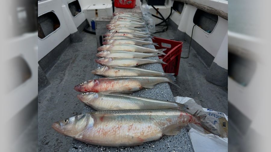 0509_mapa_pique_pesca