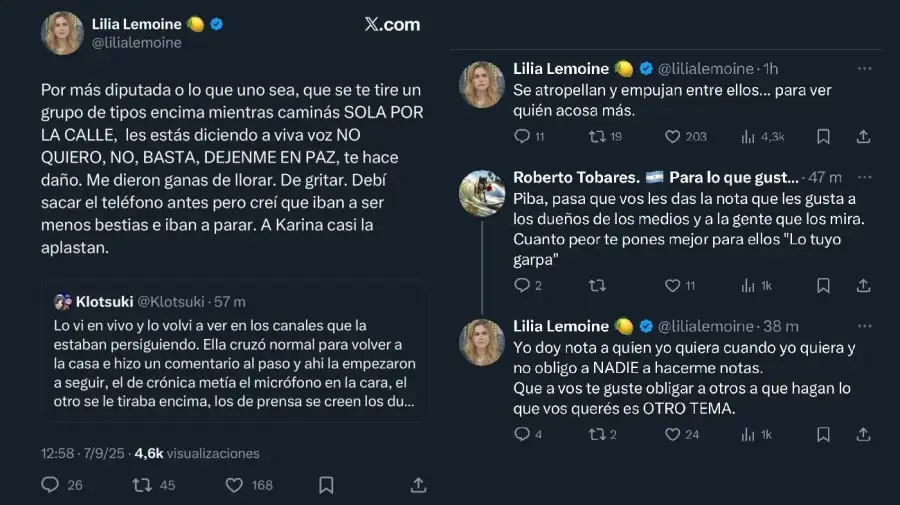 推文莉莉亚·豪华(Lilia Limoen)