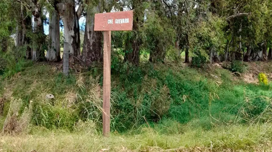 Almacen de Portela 09092025