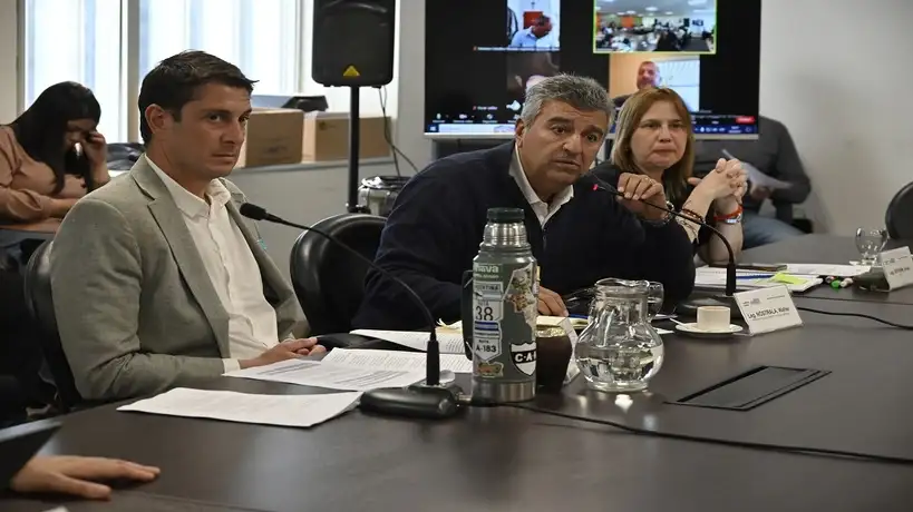 Opositores en comisión