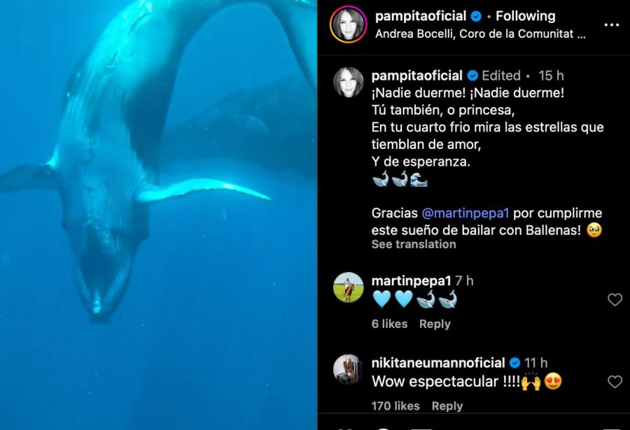 El mágico sueño hecho realidad de Pampita, gracias a Martín Pepa