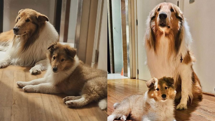 Posteo Alberto Fernandez 12092025