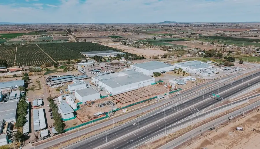 Adium_planta_expansion