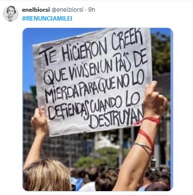 RENUNCIA MILEI 