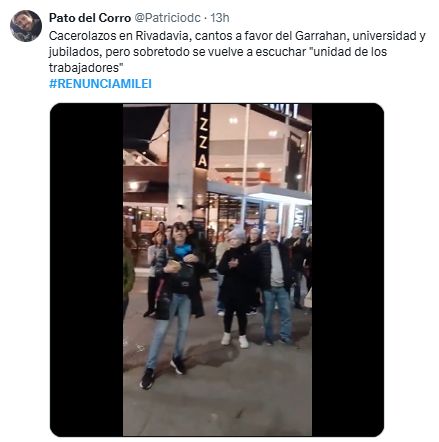 RENUNCIA MILEI 
