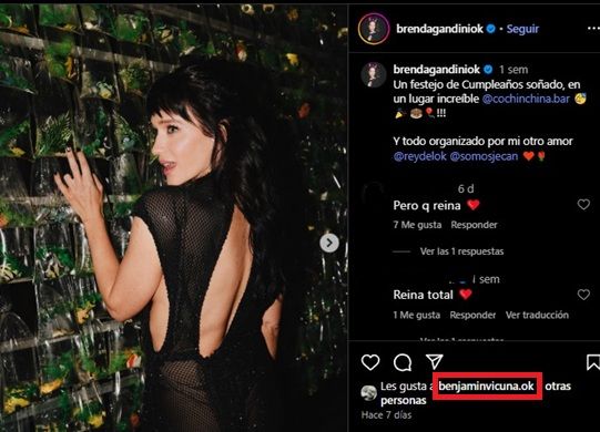 Brenda Gandini y el like de Benjamín Vicuña