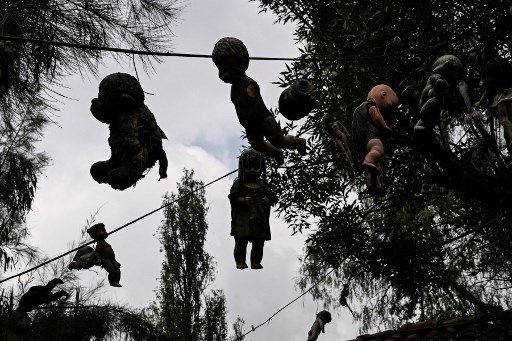 isla de las muñecas