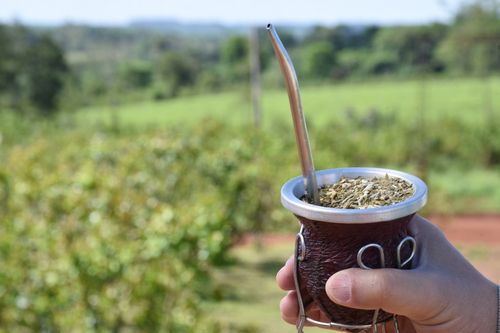 Creció un 12% el consumo de yerba mate.