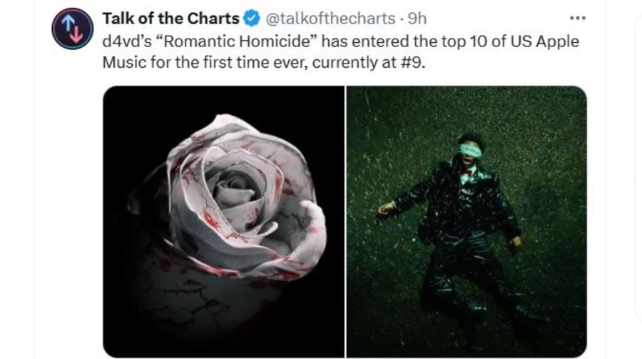 Davd Romantic Homicide