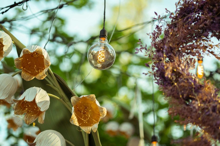 Horóscopo de la semana