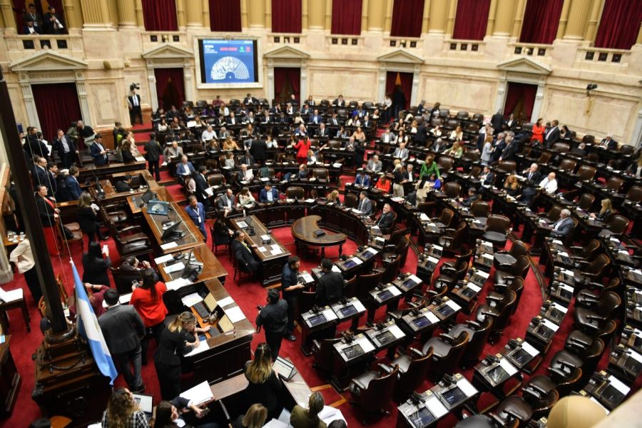 cámara de diputados