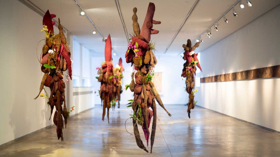 Un puñado de tierra de Andrés Paredes 20250923