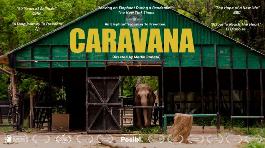 Documental Caravana: Argentina país libre elefantes en cautiverio 24092025