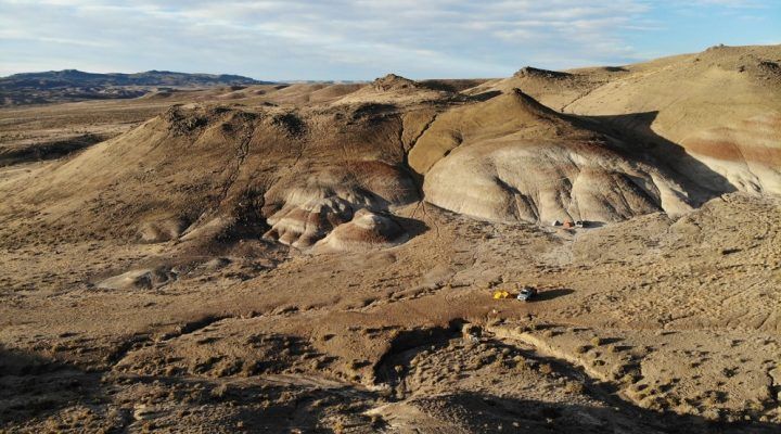 Nuevo_Dino_en_Patagonia