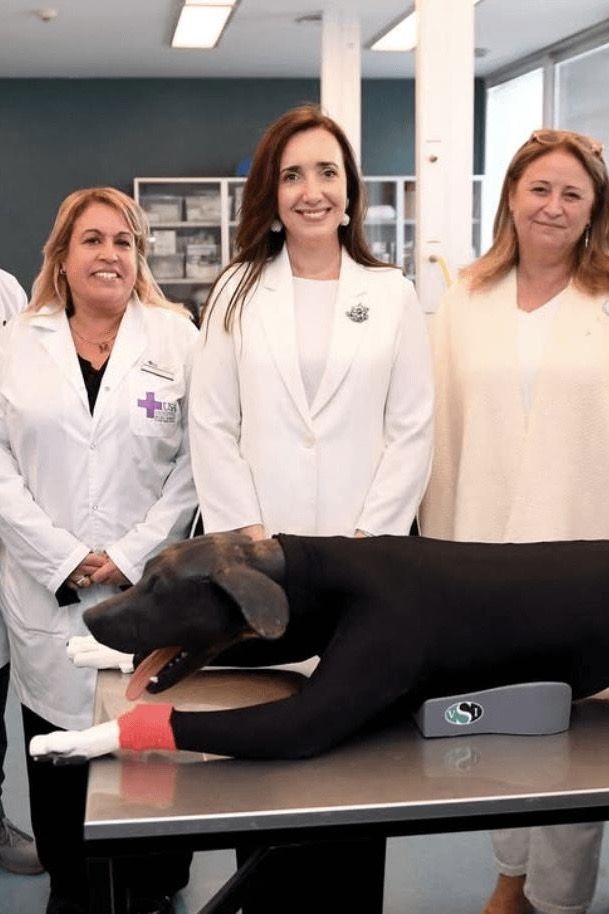 villaruel perro