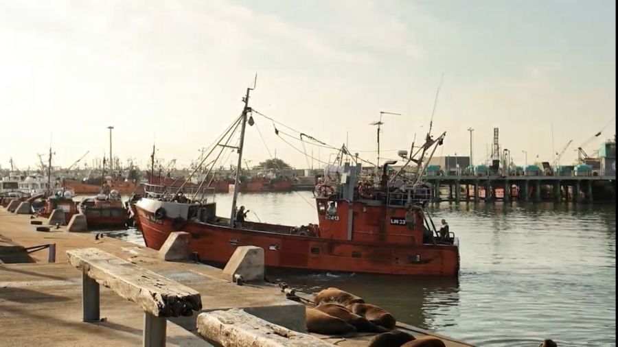 0925_pescaprofesional