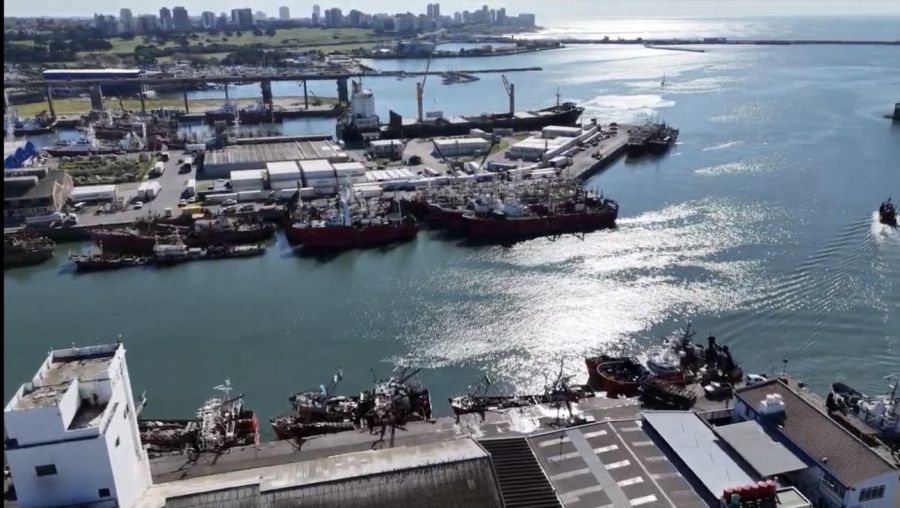 0925_pescaprofesional