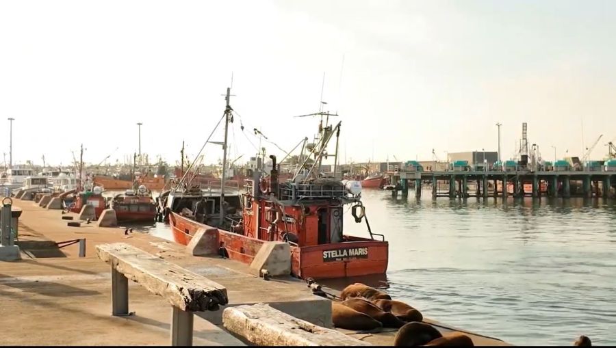 0925_pescaprofesional