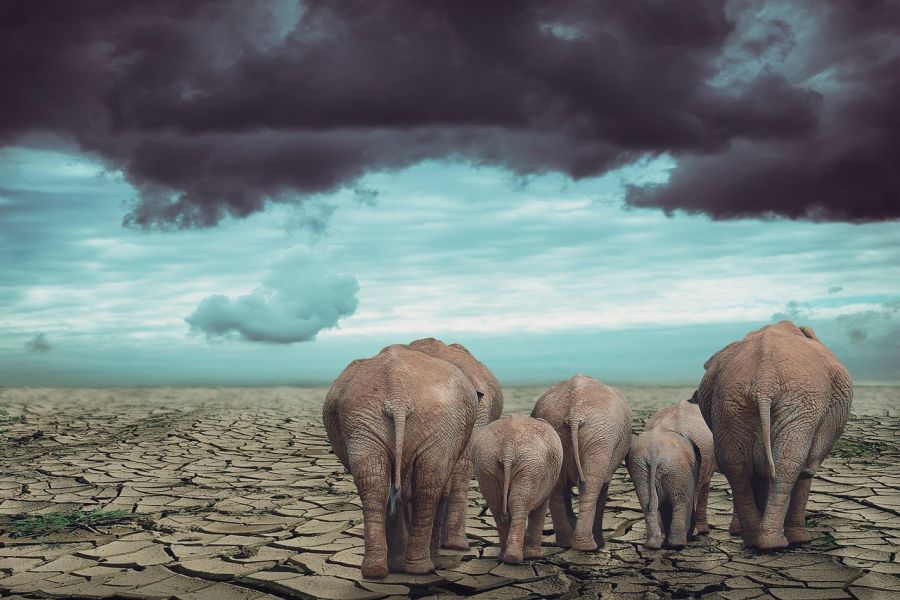 Sequía de día cero 