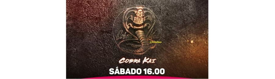 Cobra Kai en Telefe