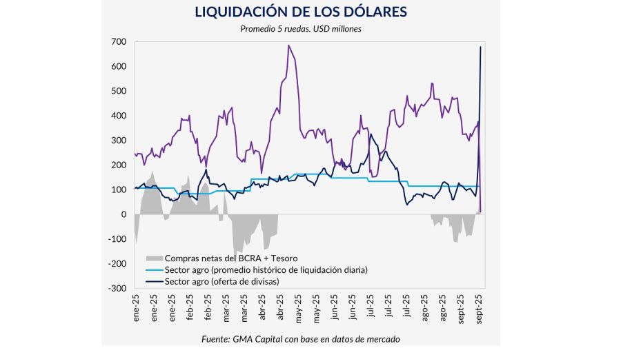 Liquidación de divas