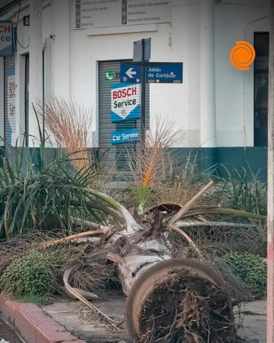 Fuerte temporal en Córdoba