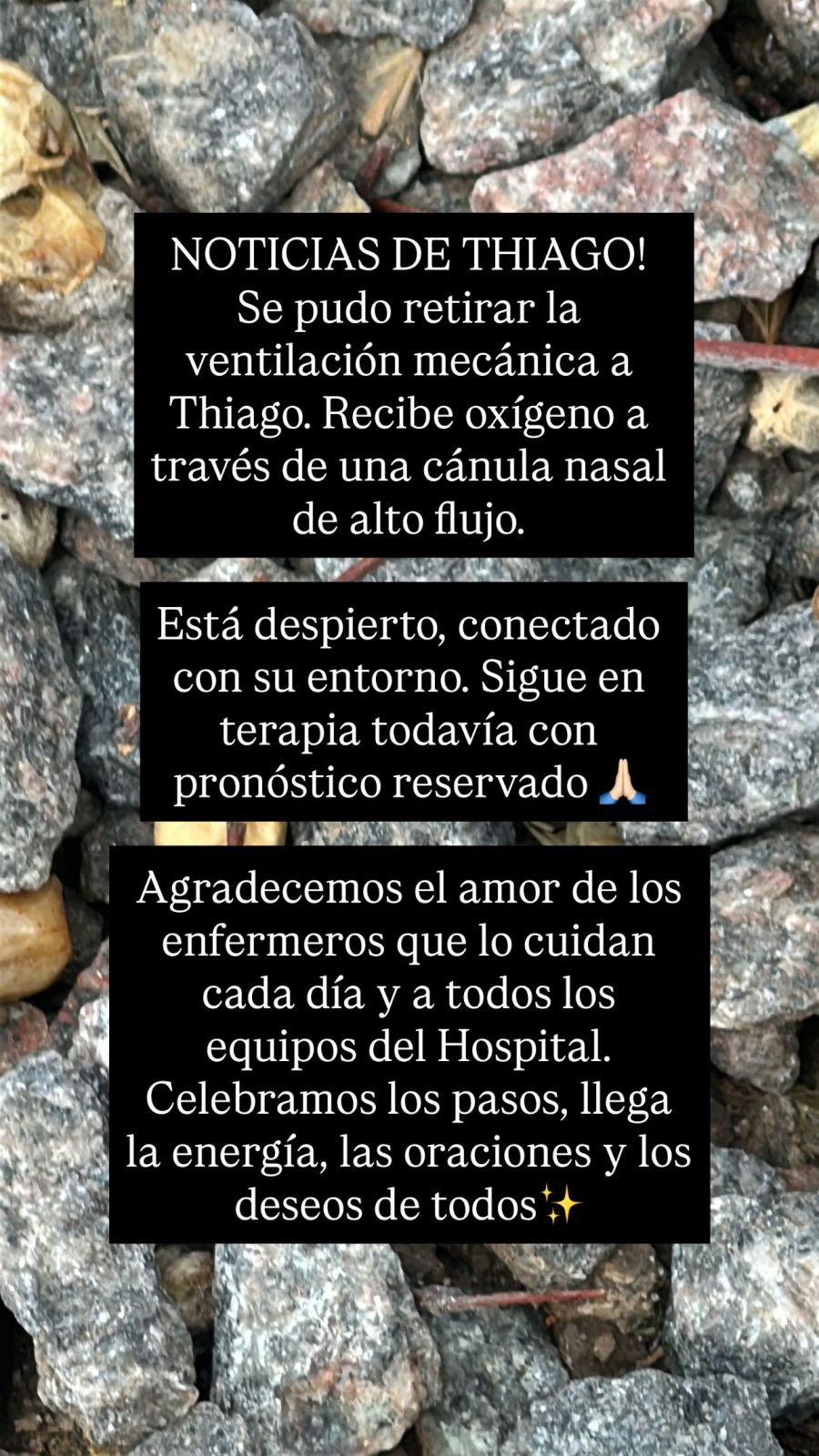Daniela Celis confirmó que Thiago Medina está despierto