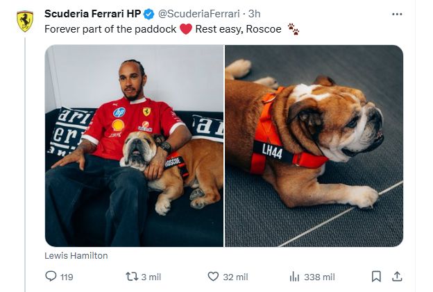 Hamilton y Roscoe Ferrari
