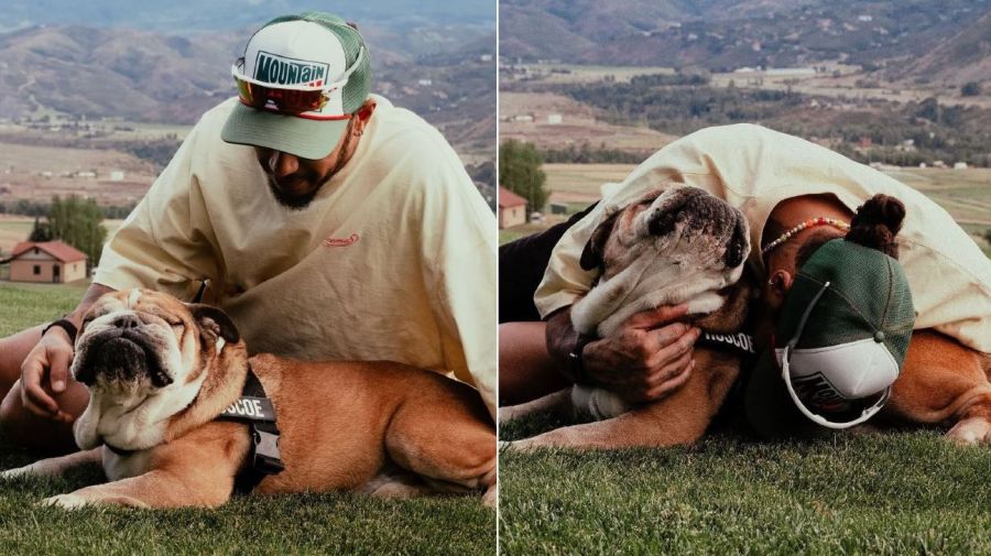 Lewis Hamilton y Roscoe