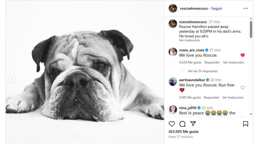 Muerte de Roscoe el perro de Lewis Hamilton