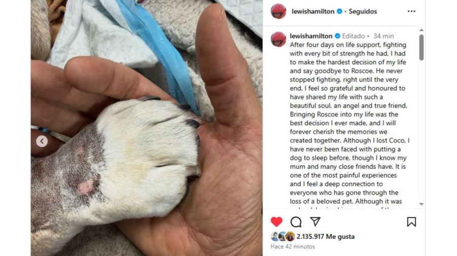 Muerte de Roscoe el perro de Lewis Hamilton