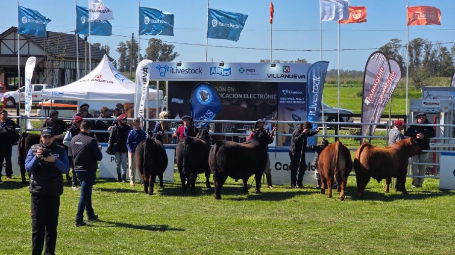Stand Grupo Villanueva en la Semana Angus de Primavera