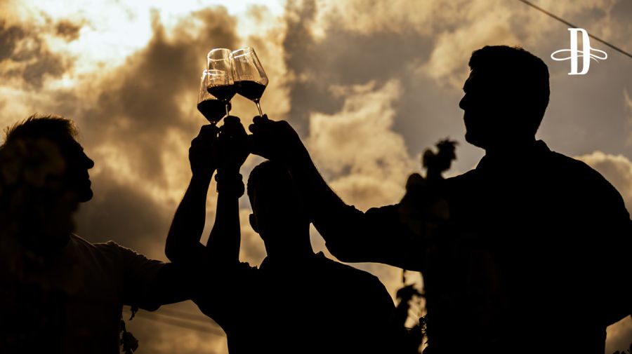Bodega 2456 Wines en Delirio