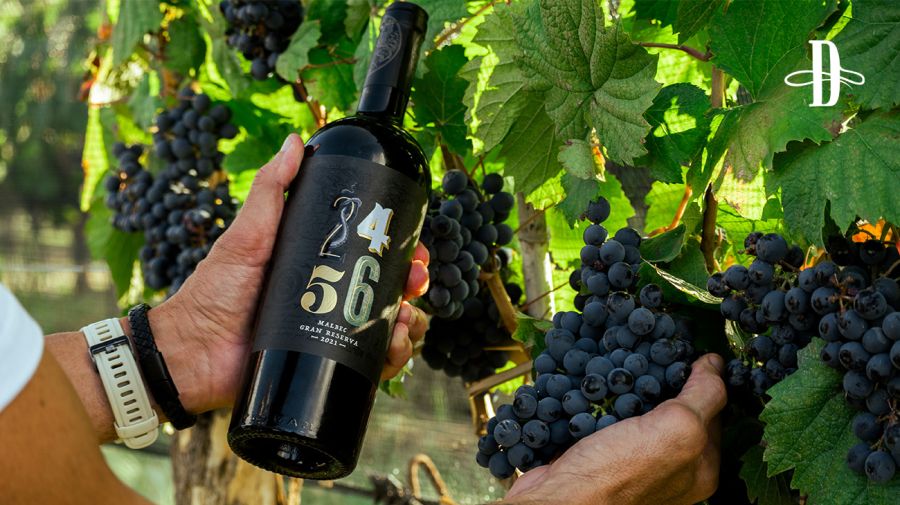 Bodega 2456 Wines en Delirio