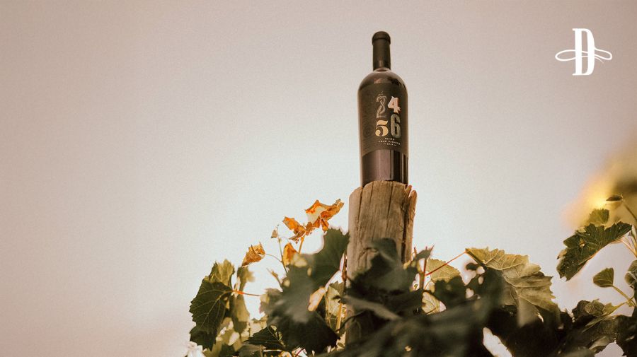 Bodega 2456 Wines en Delirio