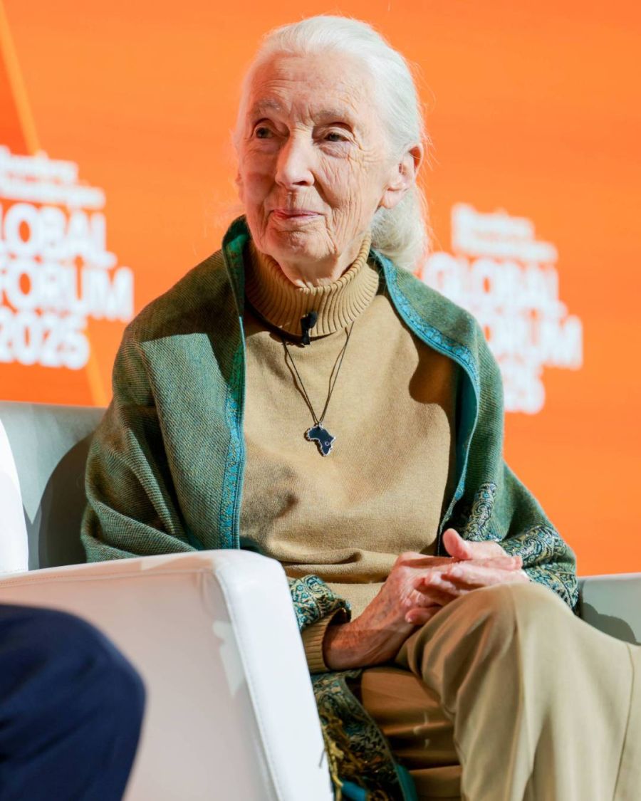 Jane Goodall 