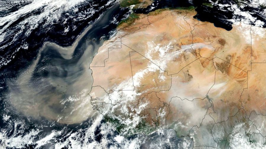 Nutrientes del Sahara para el Amazonas