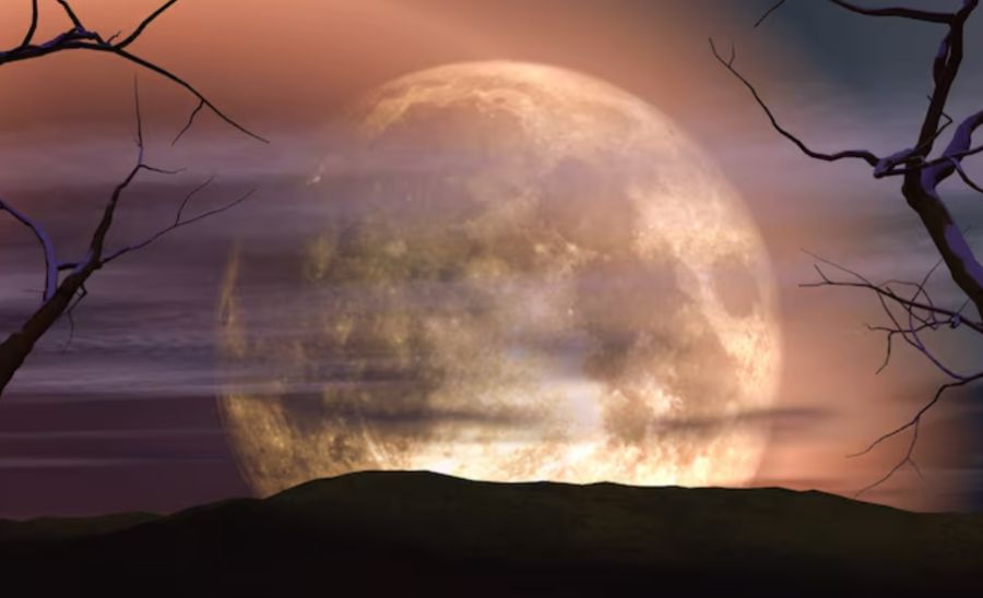 Luna llena de cosecha 