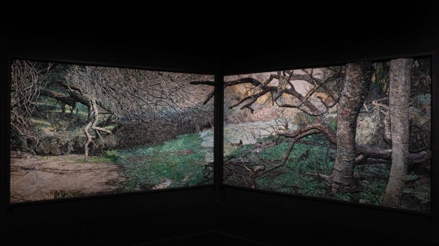  Anuncio de gira federal de Mondongo 03102025