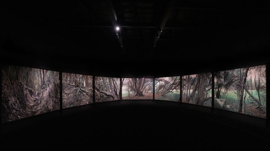  Anuncio de gira federal de Mondongo 03102025