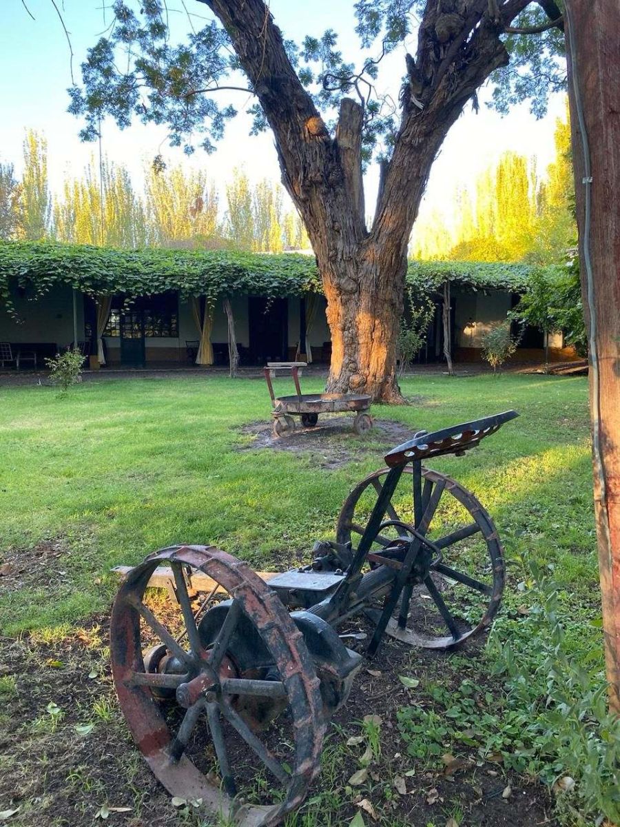  FINCA LOS FRANCISCOS