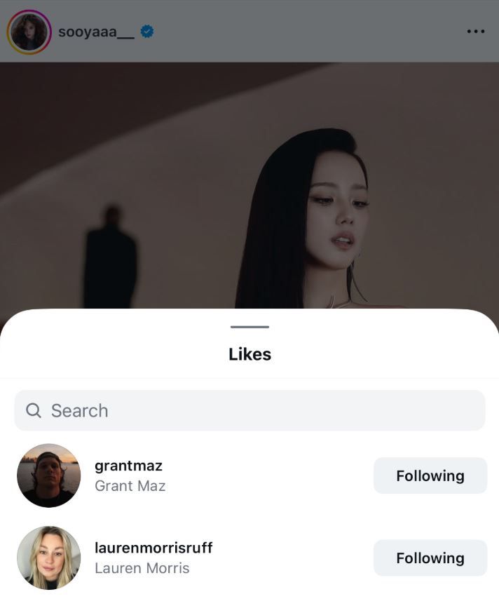 Colaboradores de Zayn en el post de Jisoo