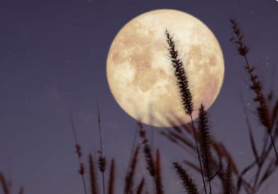 Luna llena del Cazador