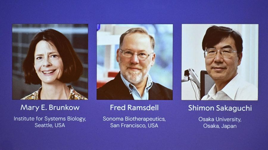 Premio Nobel de Medicina 06102025