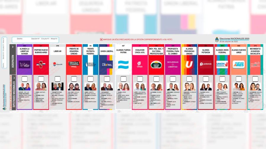 Boleta única elecciones 2025 07102025