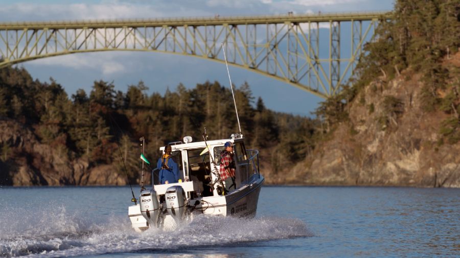 Honda Marine